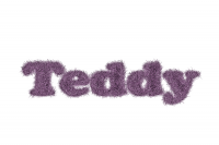 .teddy.
