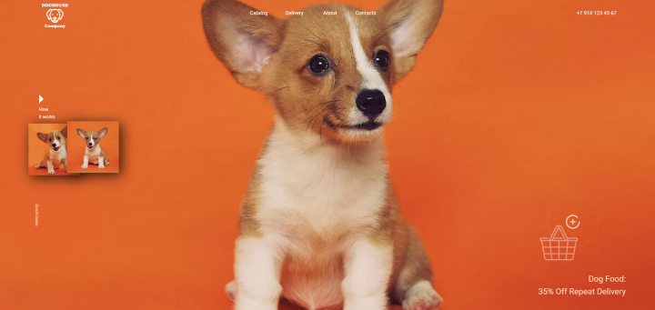 Корма для домашних животных