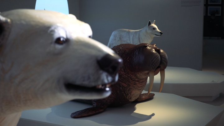 Видеоролик о выставке