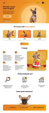 Landing_peggy's store