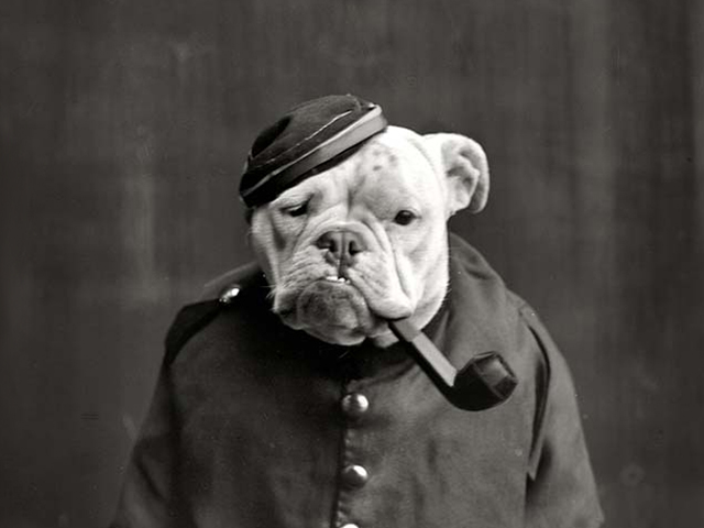 Серия промо-страниц для IPT-consierge - Германия