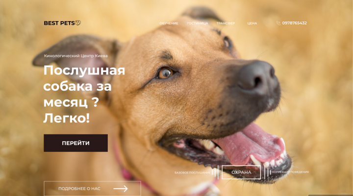 Работа 4052109