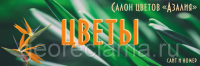 Вывеска