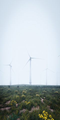 Green energy. Lords of the winds (2)