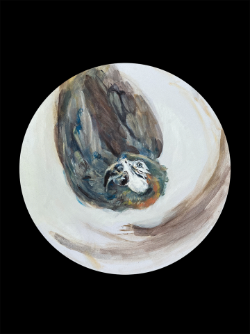 Попугай круглая картина акрилом