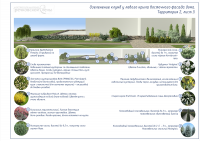 3d-проект озеленения усадьбы. Тверская обл.