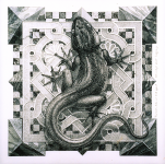 Тень огня и воды