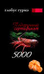 240x400