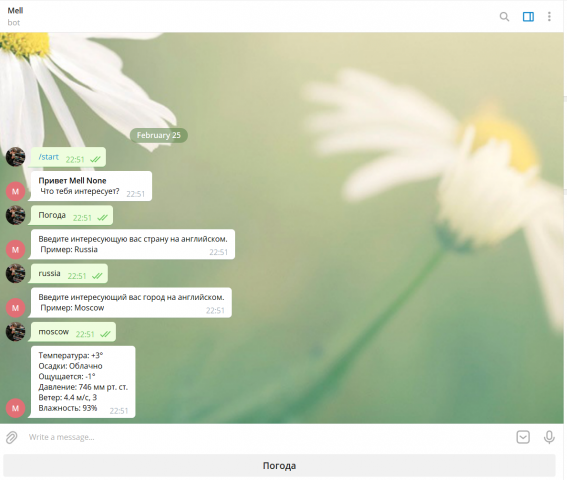 Погодный бот