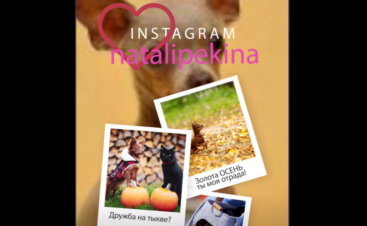 Сторис с любимцем семьи