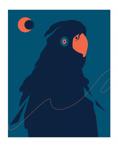 Minimal parrot cover design