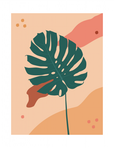 Design for packaging design, social media post, cover, banner, W