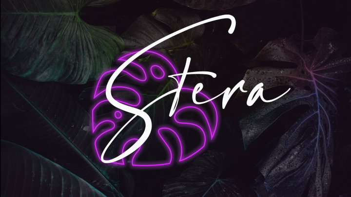 Брендбук салона Stera
