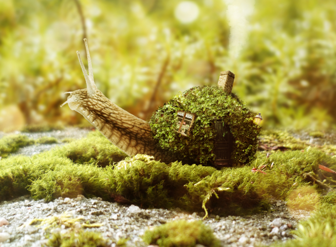 Домик улитки