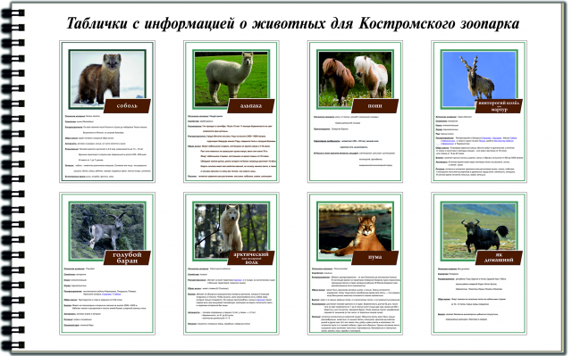 Таблички с информацией о животных для Костромского зоопарка