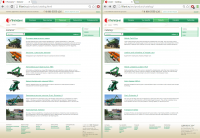 2015 - Liliani Website