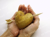 ай лов потато2))