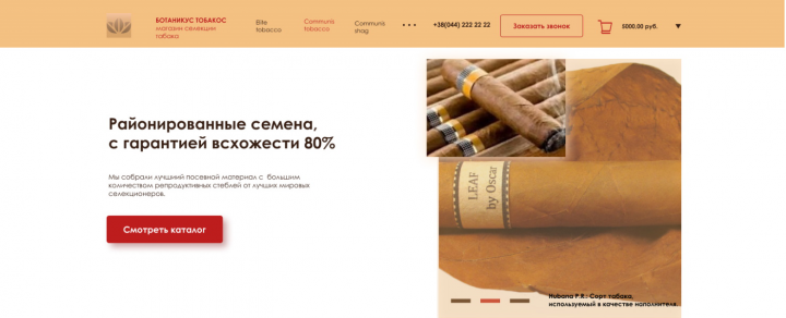 Первая страница интернет-магазина