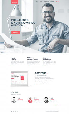 FreeLancer