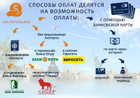 Разработка инфографики для сайта