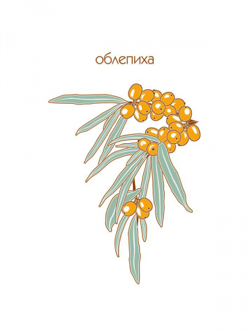 Облепиха