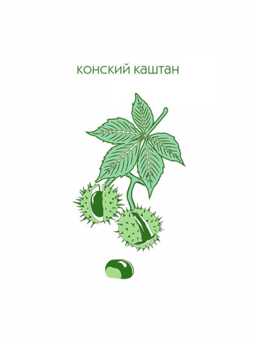 Каштан