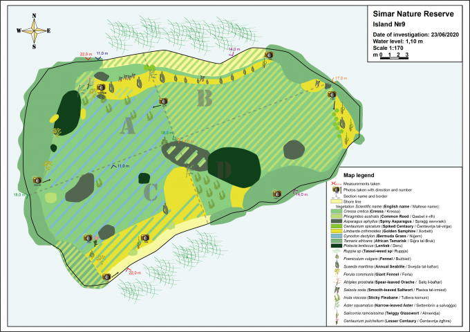Карта растительности 9