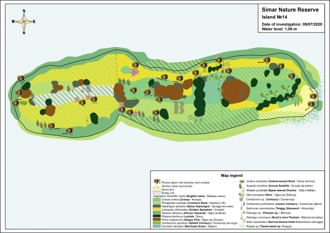 Карта растительности 14