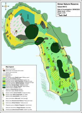 Карта растительности 13