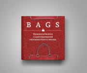 Маркетинг кит для продажи франшизы BAGS