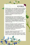 Работа 1995763