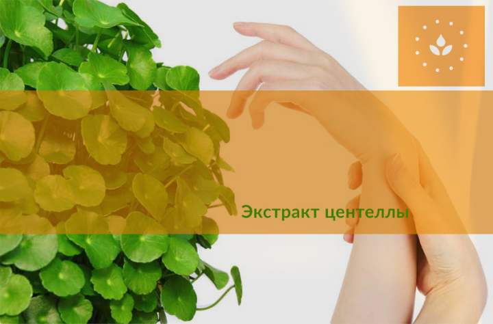 баннер для студии косметики
