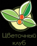 Цветочный магазин
