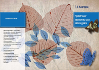 Обложка пособия
