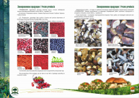 Работа 3039107