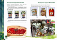 Работа 3039106