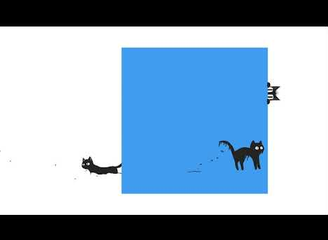 Collection of cats