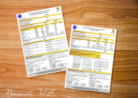 Листовки beeline -2