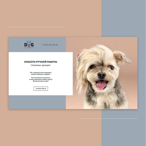 Работа 3636916