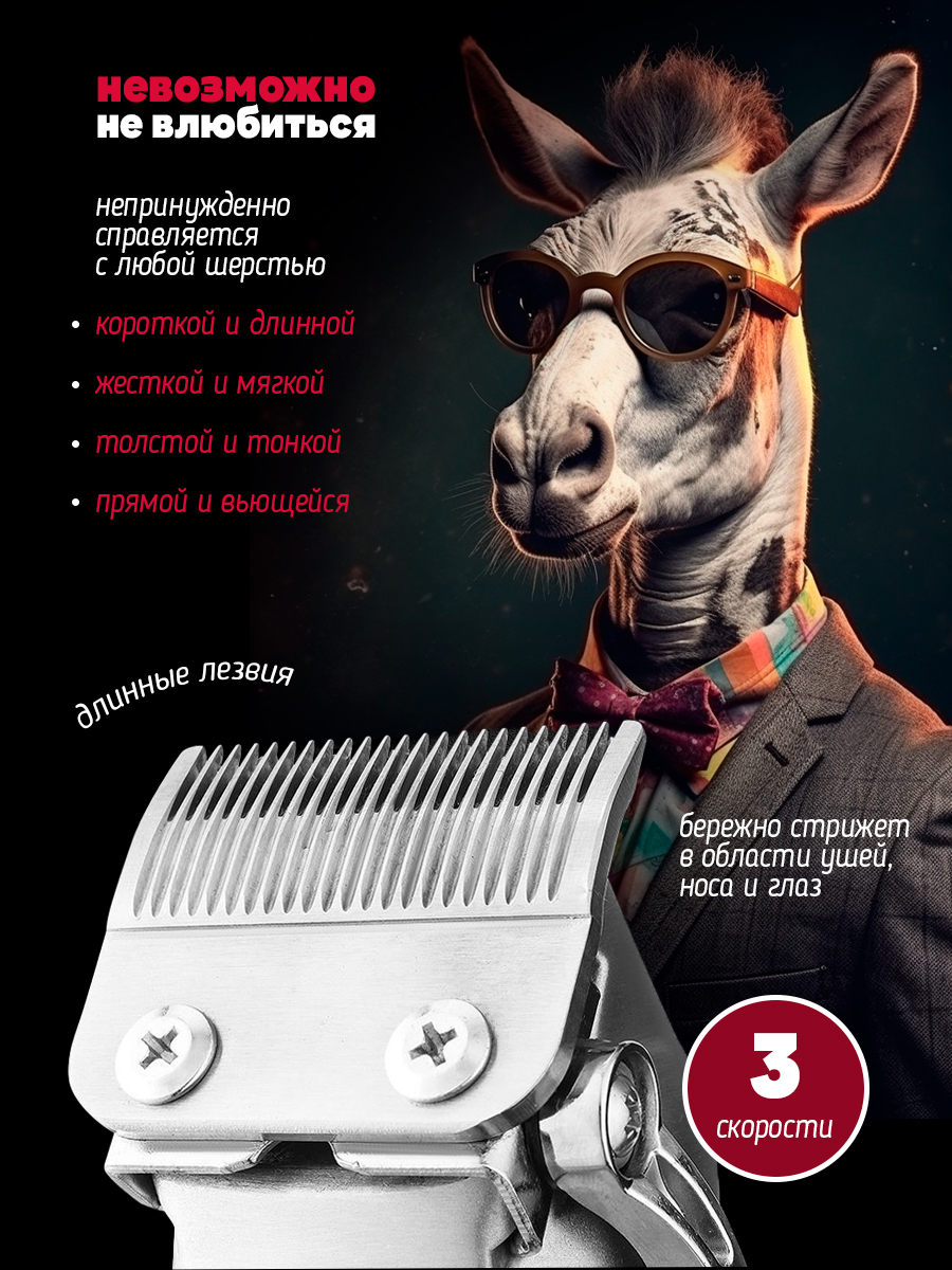 маш2.jpg
