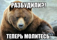 Мишка вышел погулять