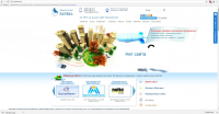 SEO партнёрство более 10 лет http://www.globalmg.ru/