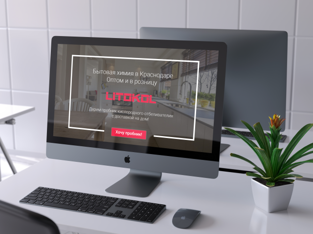 Бытовая химия litokol