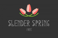 Slender Spring