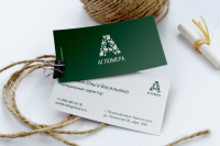 Визитная карточка Агломера