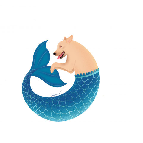 Погоня за хвостом