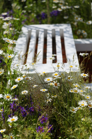 Сад с мини-часовней/фрагмент