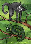 Котизм_03
