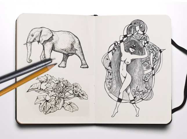 Иллюстрации ручкой и карандашом. Графика.