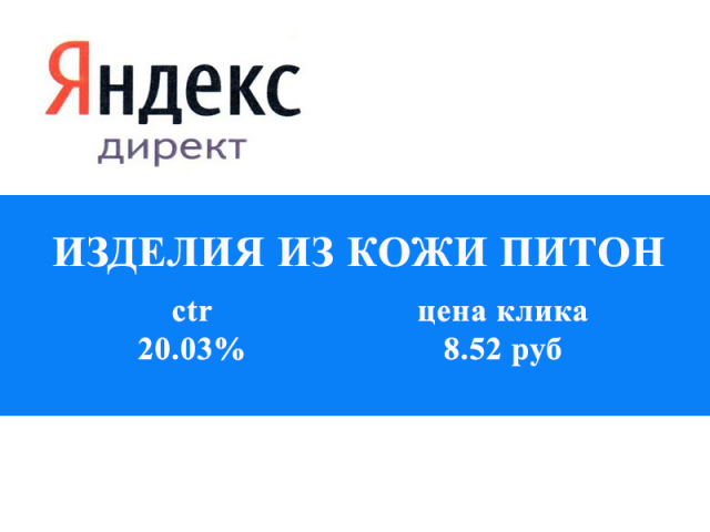 Контекстная реклама в Яндекс Директ: изделия из кожи питона